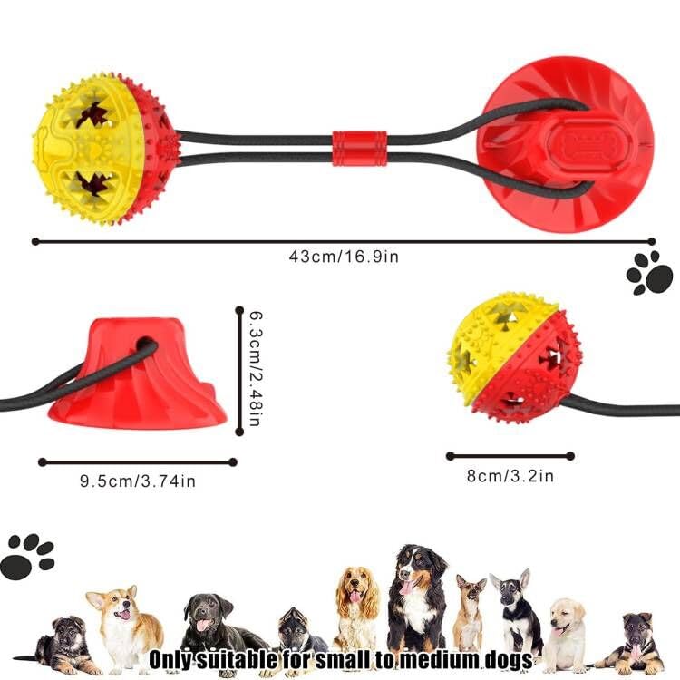 Jenilily Hundespielzeug mit Saugnapf, Spielzeug Hund Zahnbürste Spielzeug für Hund Ziehen, Kauen, Spielen