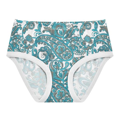 Blue Green Paisley Flroal Girls Underwear Toddlers 2t Cotton Cute Panties Girl Fun Print Undies Kids Briefs