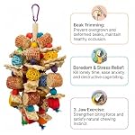 Parrot Chew Toys Bird Chew Toys Bird Toys with Natural Corn Cob for Small and Medium-Sized Macaws,African Grey,Cockatoos,Amazon Parrots,Parakeet,Cockatiel,Sun Conure, Lovebird - Image 4