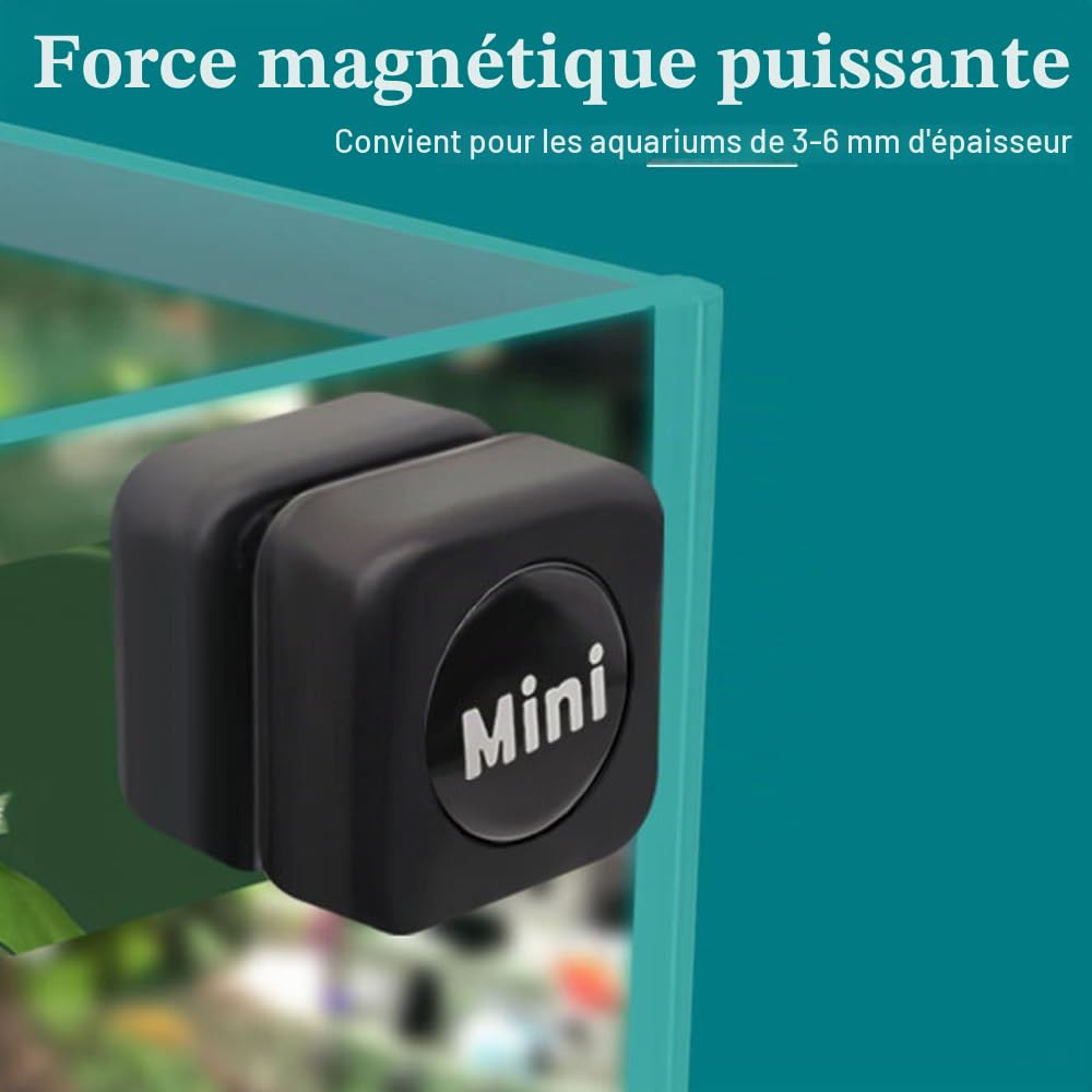 Brosse magnétique pour aquarium - 3 cm - Mini tampon de nettoyage pour aquarium de 3 mm à 6 mm d'épaisseur - Jusqu'à 40 l - Non flottante