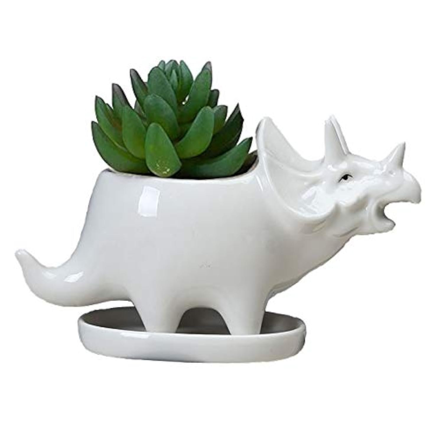 Kiaotime Triceratops Dinosaur Shape White Ceramic Succulent Planters Pots Little Planter Flower Bonsai Plant Dino Pots Vase Container Cactus Desktop Animal Decoration Pencil Holder Nursery Pots