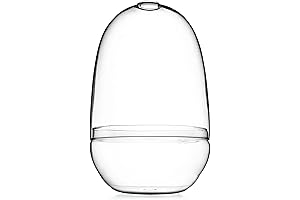 Bloomingville's Spacious Glass Terrarium: A Haven for Indoor Gardens