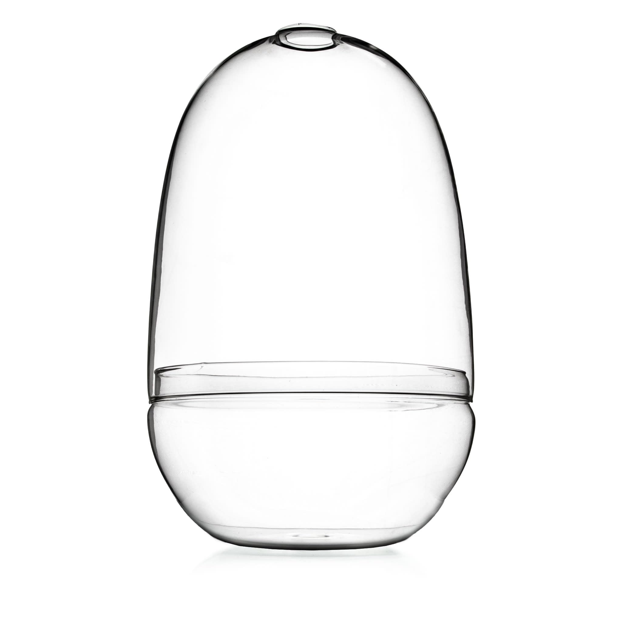 Bloomingville Large Clear Glass Terrarium