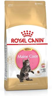 Royal Canin Maine Coon Kitten Dry Food 400g