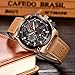 LIGE Watch Men's Fashion Sport Waterproof Analog Quartz Watch Men Brown Leather Automatic Date Watches