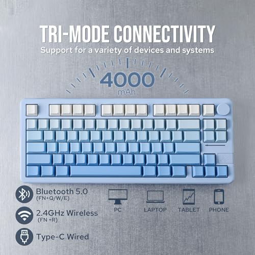 Image of EPOMAKER Galaxy70 Aluminium Mechanical Keyboard, Wireless Gaming Keyboard Bluetooth /2.4GHz /USB, Programmable and Hot Swappable Thocky Keyboard (Blue Ombre, Zebra Linear Switch)