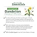 Animal Essentials Liver Defense for Dogs & Cats - Liver Support, Milk Thistle, Dandelion, Liquid Supplement, Detox Blend, Liver Cleanser - 2 Fl Oz