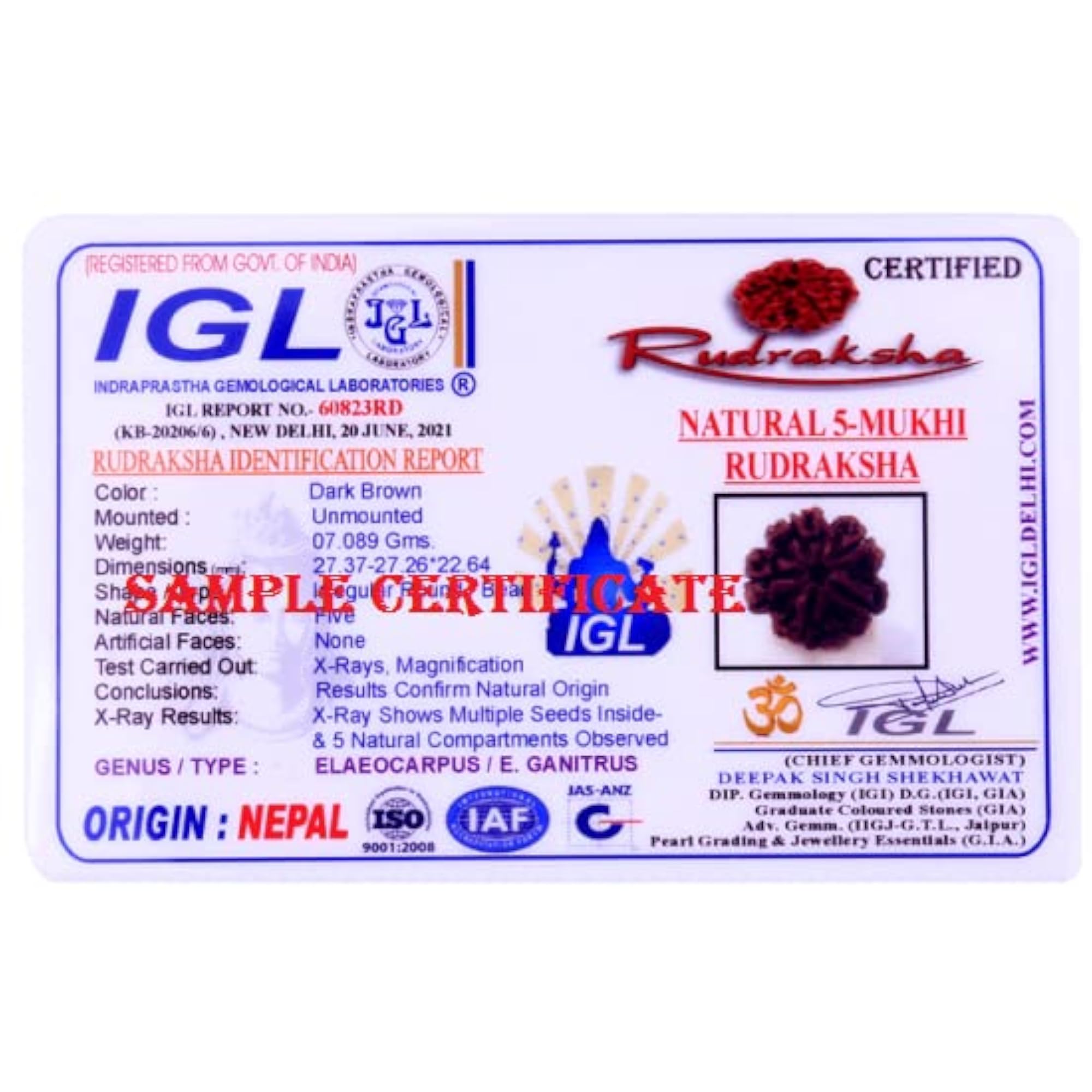 Pure & A1 5 Faced Rudraksha Beads from Nepal