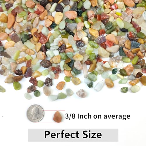 YISZM 2LB Succulent and Cactus Colorful Pebbles, 3/8 Inch Pebbles for Indoor Plants, Natural Decorative Polished River Rocks for Vases, Planters and Outdoor Gardening
