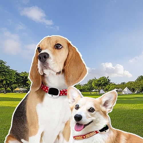WHIPIN Kabellose Hundezaunhalsbänder zum Wiederaufladen, Echtzeit-Tracking, Haustier-Tracking-Halsband, Sportdatenanzeige und Alarm bei niedrigem Batteriestand, 3 Tracking-Methoden(Black)