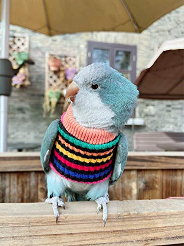 Image of Parrot Bird Supplies - Warm & Comfortable Tiger Skin Clothes for Green Cheek, Little Sun, Monk, Starling, Mynah & Senegal Parrots - Mini Macaw Sweater (L)
