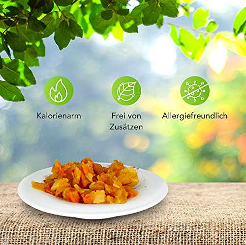 Schecker Nassfutter - 100% Gemüse pur - gelb - veggi - ideal zum Barfen - Diätfutter - Schonkost 12 x 410 g