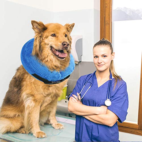 Aufblasbares Haustierhalsband für kleine und mittelgroße Hunde und Katzen, verhindert, DASS Haustiere genähte Wunden berühren, schützendes aufblasbares Hundehalsband