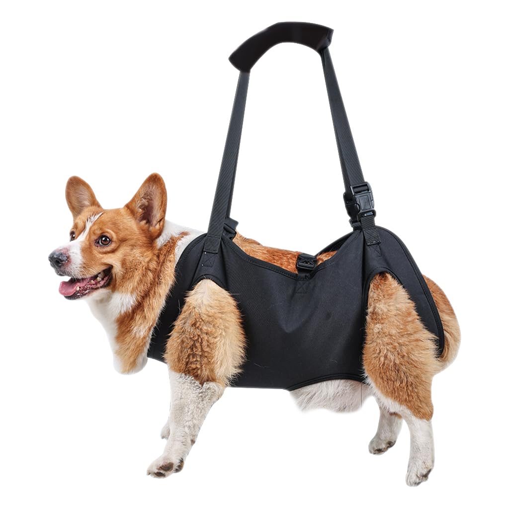 See full amazon price history chart for Qpets® Dog Lift Harness, Walking Assistant Lifting Harness, Adjustable Length and Size Dog Walking Assistant Harness for Aging Dog, Disabled, Injured Dog (Recommended Weight: 18-22.5KG) Qpets® Dog Lift Harness, Walking Assistant Lifting Harness, Adjustable Length and Size Dog Walking Assistant Harness for Aging Dog, Disabled, Injured Dog (Recommended Weight: 18-22.5KG) (B0CZKPXZ49) Amazon Price History, Amazon Price Tracker