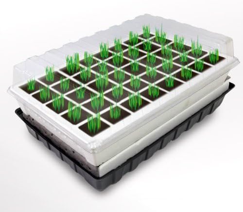 Self Watering Propagator
