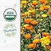 Back to The Roots 100% Organic Seed Packet - Calendula 'Pacific Beauty' 300mg