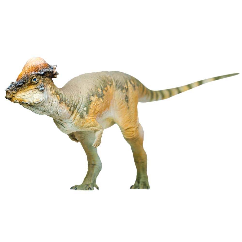 Amazon.co.jp: PNSO Prehistoric Dinosaur Models:46 Austin The