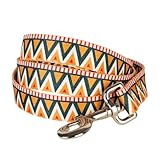 Blueberry Pet 3/8-inch by 6-Feet Elite Basic Nylon Dog Leash for Puppy with Flame Stitch and Henley Stripes, X-Small