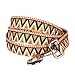 Blueberry Pet Durable Elite Basic Dog Leash with Flame Stitch and Henley Stripes 4 ft x 1