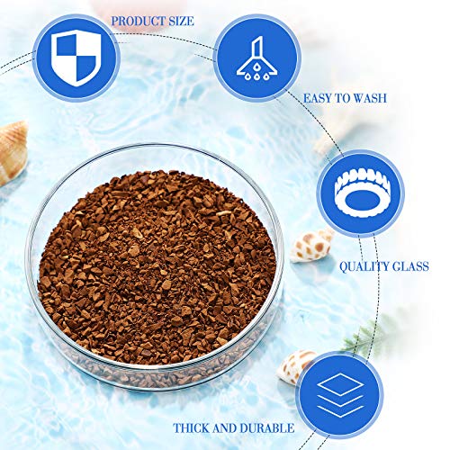 Patelai 3 Pieces Aquarium Shrimp Feeding Dish Glass Fish Clear Tank Feeding Bowl Food Bowl Freshwater Tray Feeder - Image 4