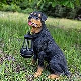 Notakia Resin Dog Rottweiler Statues and Sculptures with Solar Led Home Garden Decoration Windproof Lamp Outdoor Lighting Decor (Rottweiler &LED) Notakia Resin Dog Rottweiler Statues and Sculptures with Solar Led Home Garden Decoration Windproof Lamp Outdoor Lighting Decor (Rottweiler &LED)