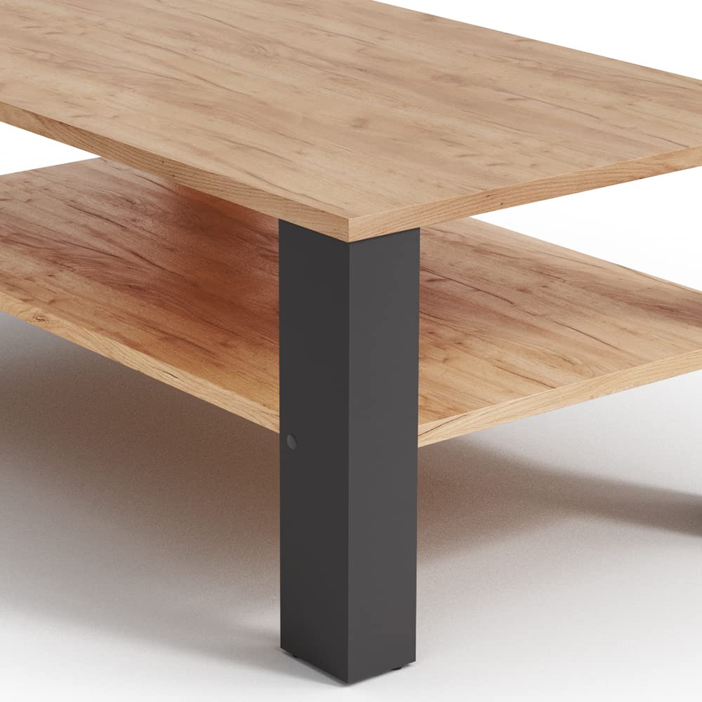 Vicco Couchtisch, Anthrazit, 100 x 60 cm | mit offenem Ablagefach zur Aufbewahrung von Zeitschriften