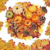 Photo Gallery smdbzda mini zucche artificiali, 96 pezzi set di decorazioni autunnali, zucche artificiali set, mini zucche foglie d acero ghiande, per raccolto autunnali decorazioni di halloween ringraziamento Photo Gallery smdbzda mini zucche artificiali, 96 pezzi set di decorazioni autunnali, zucche artificiali set, mini zucche foglie d acero ghiande, per raccolto autunnali decorazioni di halloween ringraziamento