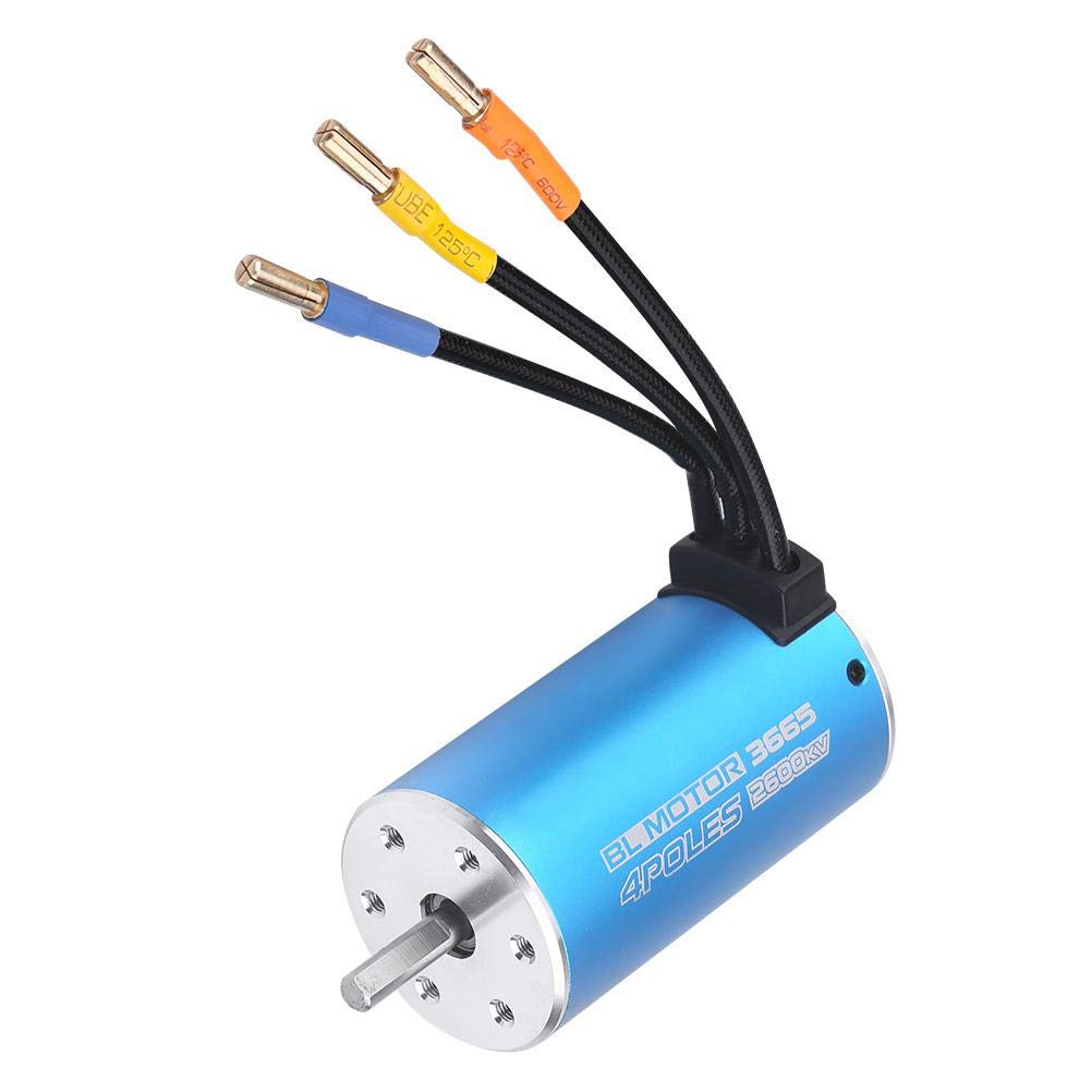 Mini Motor eléctrico Duradero 2600KV, Motor sin escobillas, Azul 3665 para Coche RC, Juguetes para niños