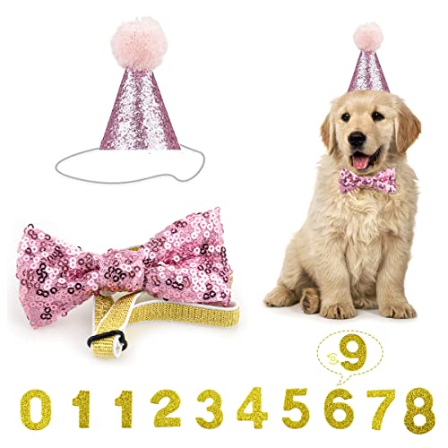 Dog Birthday Hat, Reusable Dog Cat Party Hat with Bow Tie Collar and Blue Number for Pet Puppy Cat Birthday Party Decorations, Pet Costumes Headwear Accessories (Pink)