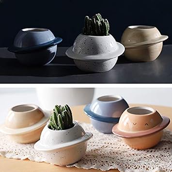 Ceramic Plant Pot with Drainage Decorative Planter Indoor Planet Flower Pot Plant Containers for Cactus Succulent Herbs, Blue