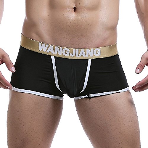 WANGJIANG Mens Underwear Mesh Boxer Briefs Transparent Trunks (Black, X-Large(31~36 Inch))