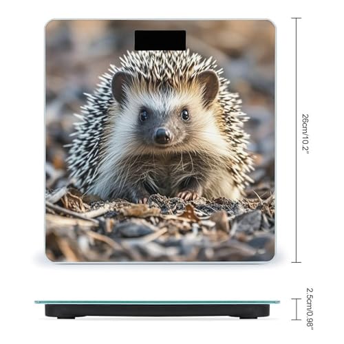 Báscula Digital de Baño FekiLoot con Plataforma Ancha miniatura 2