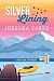 Silver Lining (Tin Can Mysteries Book 4)