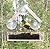 Window Bird House Feeder with Extra Strong Suction Cups Clear Bird Seed Holder for Outside Birdhouse Shape WMBF0001