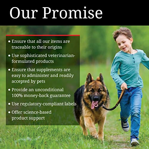 Nutri-Vet Nasty Habit Chewable Tablets For Dogs | Helps Stop Puppies And Dogs From Eating Their Own Stool | 60 Count #TOP3