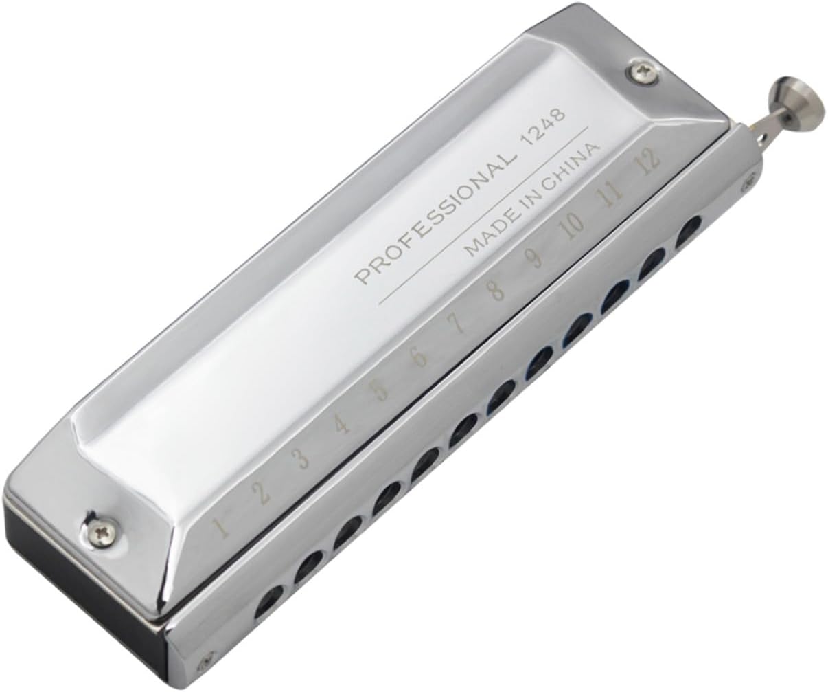 Professional 12-hole 48-note Half-step Harmonica for Beginners and Music Lovers, Silver Tone Wind Instrument for Folk and World Music