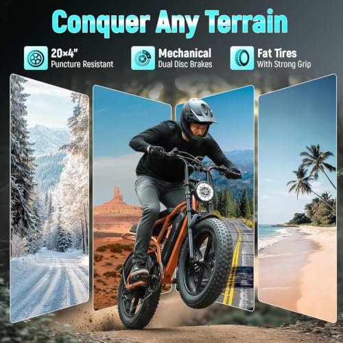Image of TS TST GRP LLC Electric Bike for Adults, 1500W Peak Motor Ebike, 20 inch x 4.0 inch Fat Tire E Bike, 48V 15Ah Removable Battery, Dual Suspension, Disc Brakes, LCD & APP Control, for Commuting Off-Road