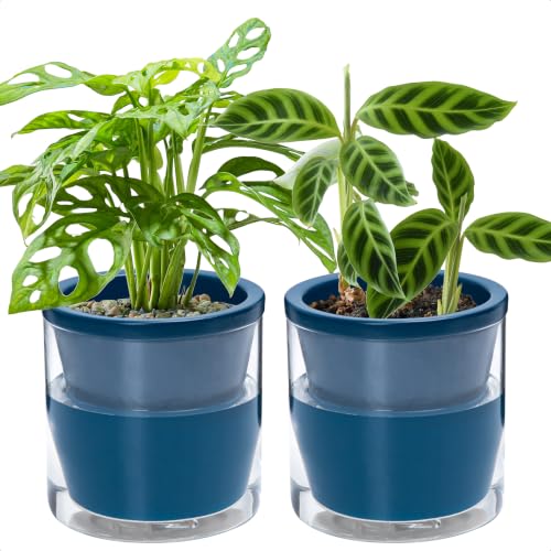 D'vine Dev 6-Inch Self Watering Indoor Planters (Set of 2)