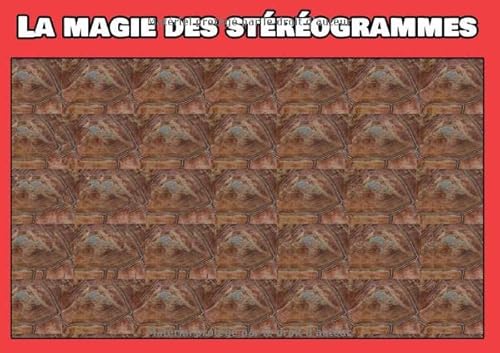 livre La magie des stéréogrammes: Images en relief