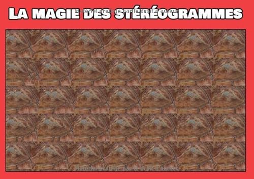 La magie des stéréogrammes: Images en relief