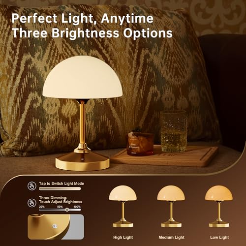 Image of Dawnwake Mushroom Lamp Cordless Lamp Table Lamp,Outdoor Waterproof Shower Lamps,5000mAh Rechargeble Battery Operated Dimmable Touch Desk Lamps,LED Night Light for Bathroom Patio Camping Outdoor(Gold)