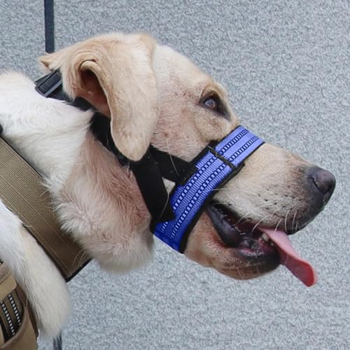 Focinho macio | Mastigação indesejada evita focinhos de boca de cães reflexivos noturnos,Decorações