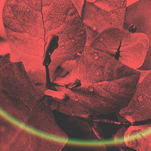 LoFi Waiter, mood. & Shiloh Dynasty