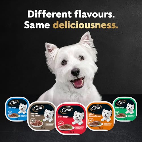 CESAR Classic Loaf in Sauce Adult Wet Dog Food Chicken Lovers Variety Pack, 8 Grilled Chicken Flavour, 8 Chicken & Liver Recipe, 8 Chicken & Veal Recipe 24x100g Trays image 5