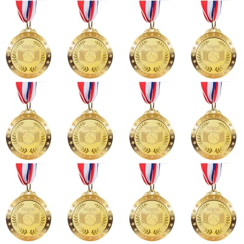 LZHZH 12 Pack Gold Award Medals for Kids Sports Volleyball Games Adult Volleyball Metal Medals Party Favors 2 Inches