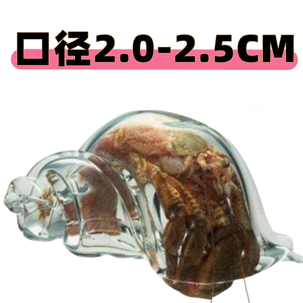 Amazon.co.jp: ヤドカリ 貝殻 ヤドカリの透明な貝殻 手作りのガラス