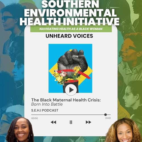 Page de couverture de The Black Maternal Health Crisis: Stories of Survival and Resistance