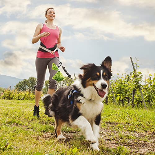 cobee Kotbeutelhalter, freihändige Halterung für Hundekotbeutel, 2 Stück, für Hundekotbeutel, Hundekotbeutelhalter für Leine, Spender, Zubehör (schwarz)