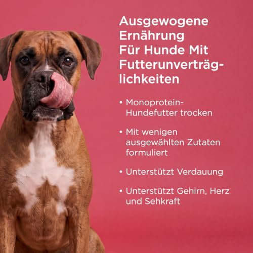 Go! Solutions Hundetrockenfutter Lachs, getreidefrei Sensitivities, 10 kg – Ansicht 2