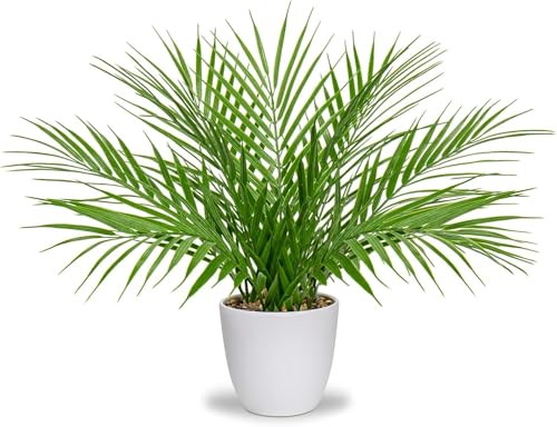 Best Artificial Hanging Plants for Your Home 70 Dekorly Fake Plant Artificial Palm Plant in White Pot Real Touch ...
